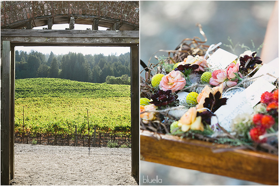 sonoma-wedding-photographer-bluella