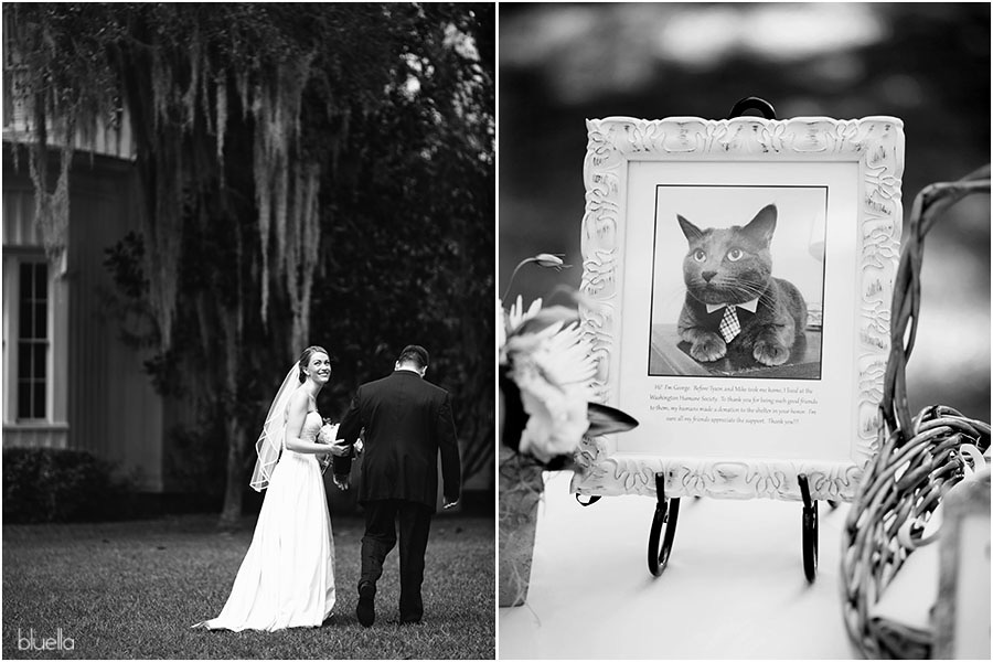 hilton head wedding photographer bluella