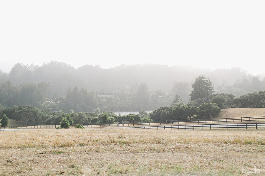 Devine Ranch Wedding