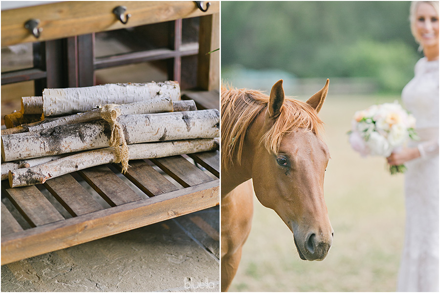 Devine Ranch Wedding